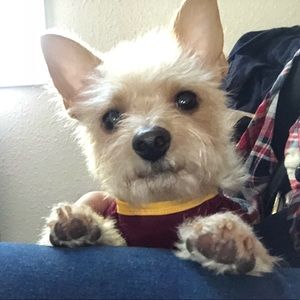 Meet your Posher, Laura